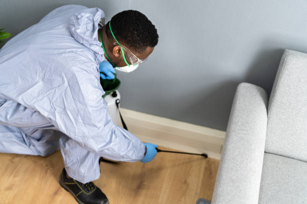 Real Estate Pest Inspections in Highlands, TX